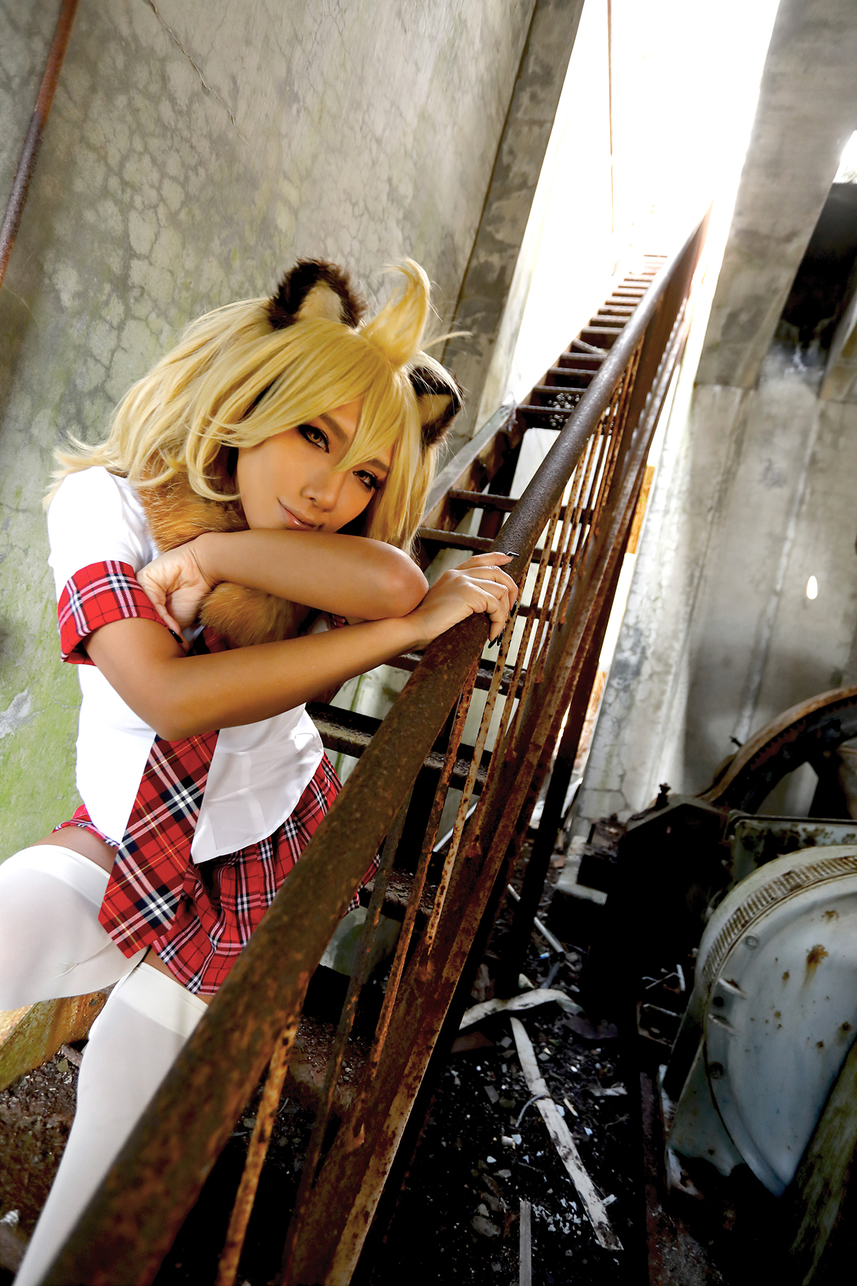 Kemono Friends – Non – Lion