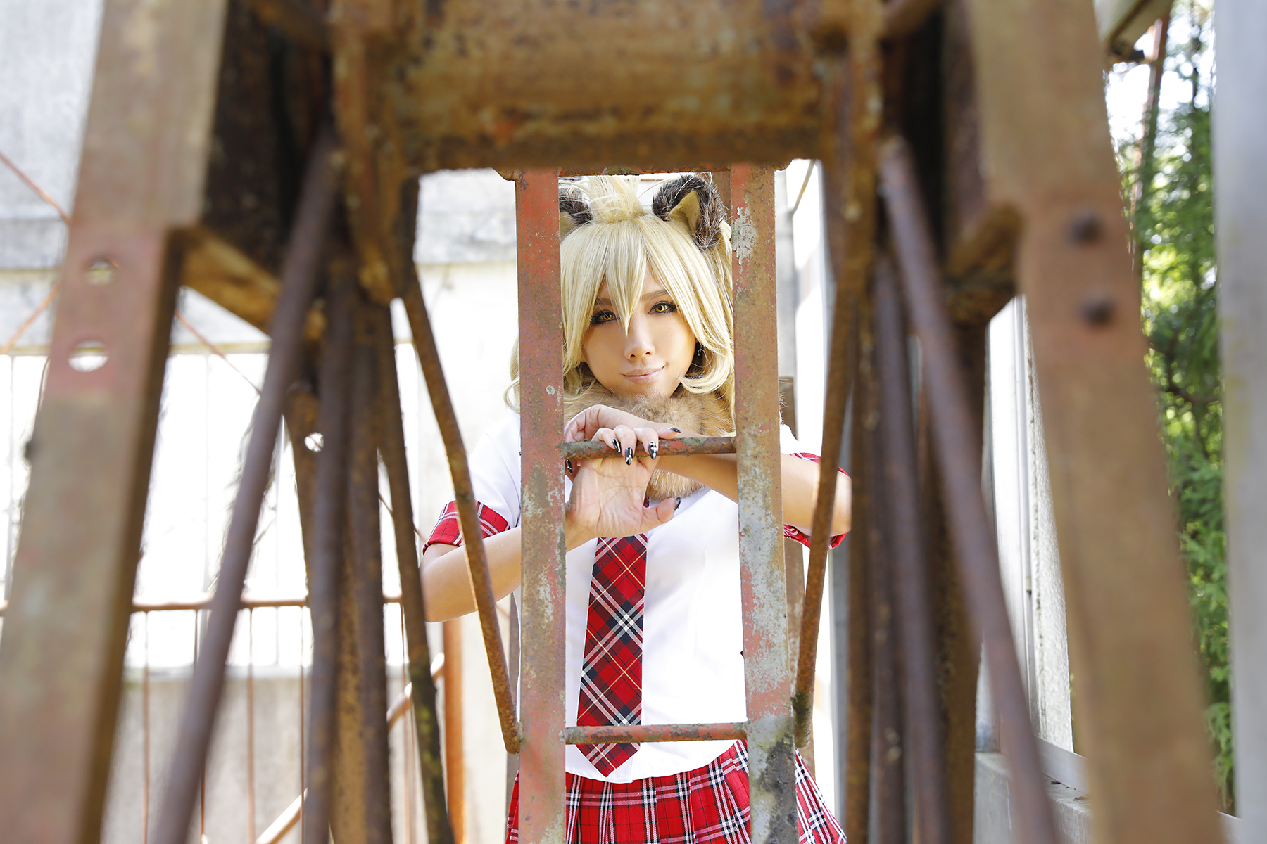 Kemono Friends – Non – Lion