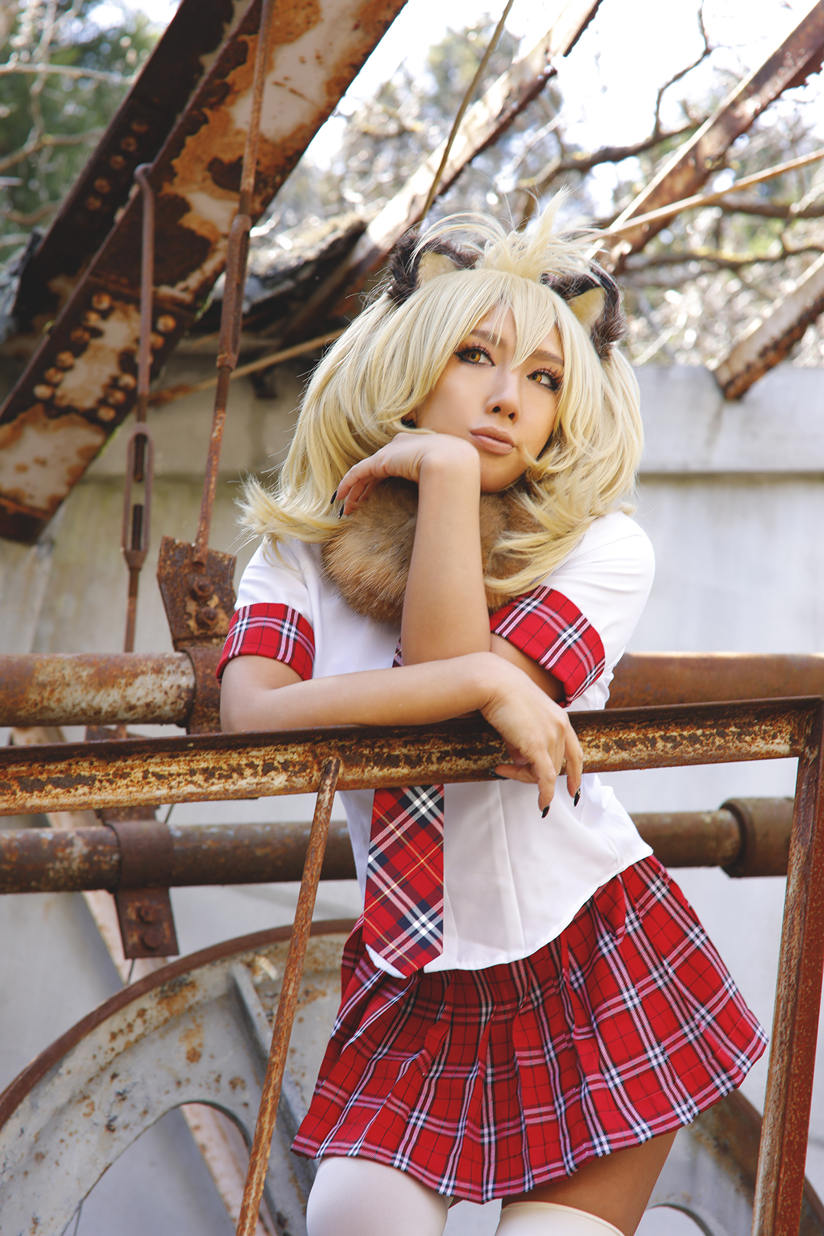 Kemono Friends – Non – Lion