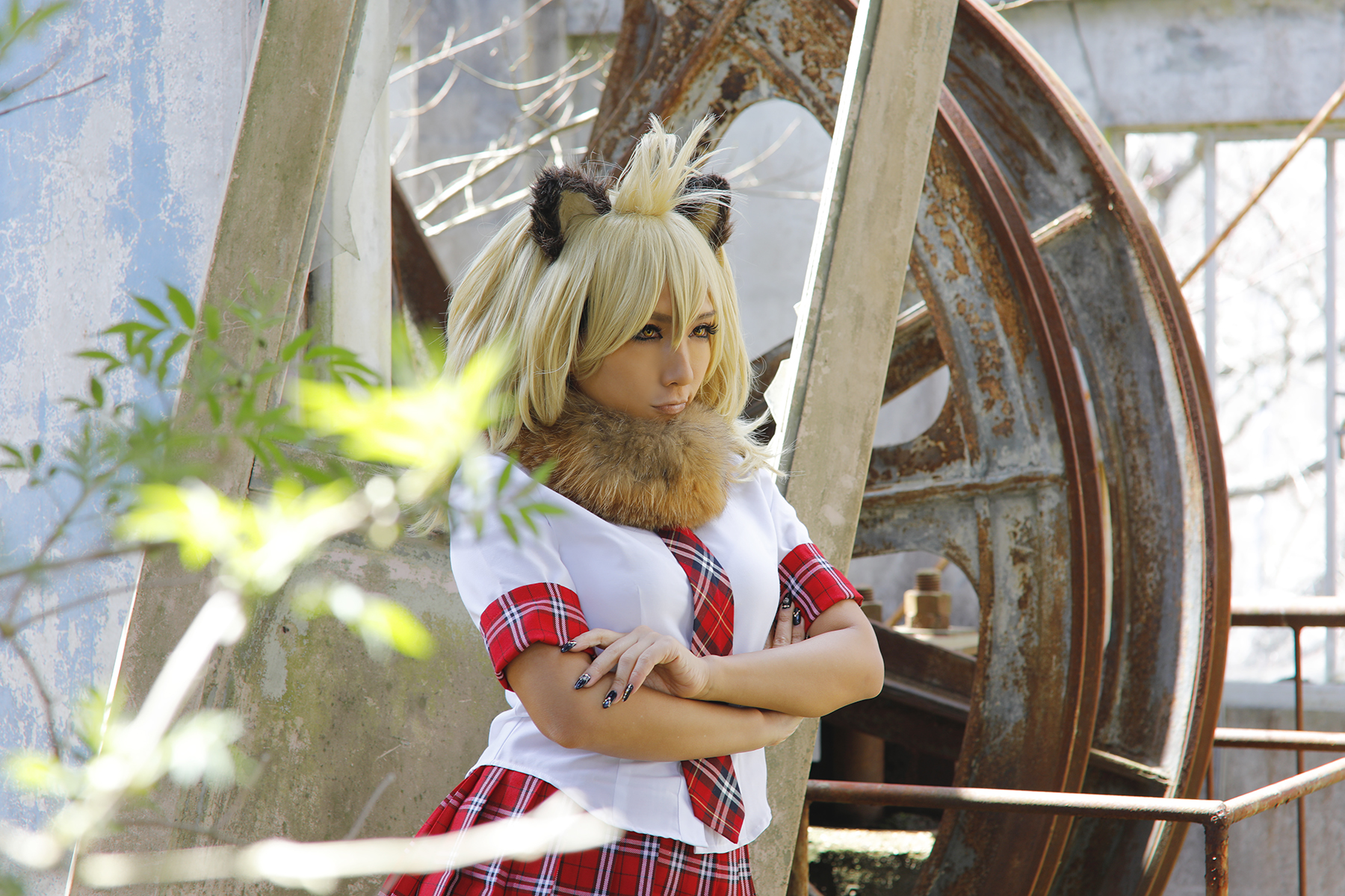 Kemono Friends – Non – Lion