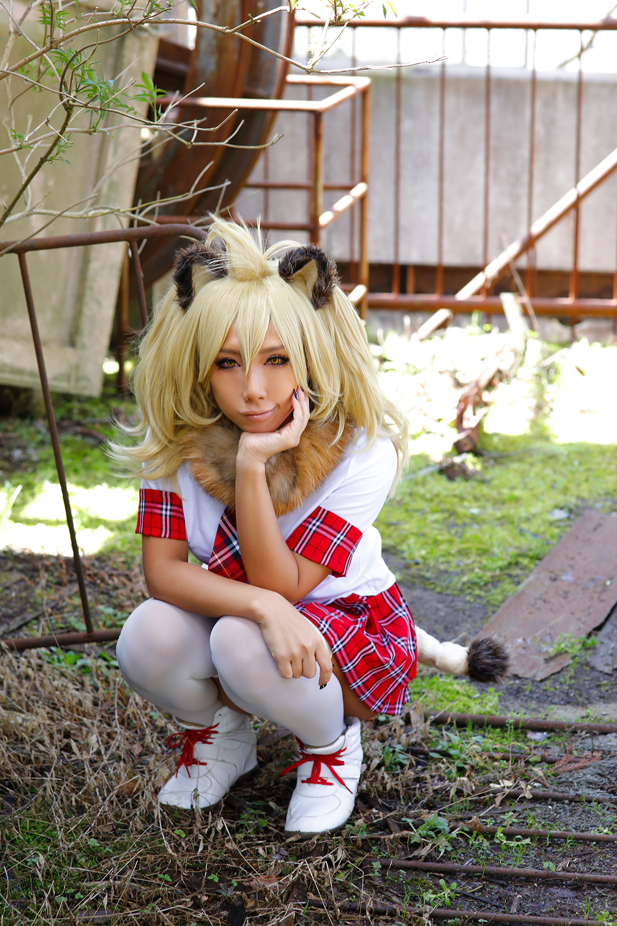 Kemono Friends – Non – Lion
