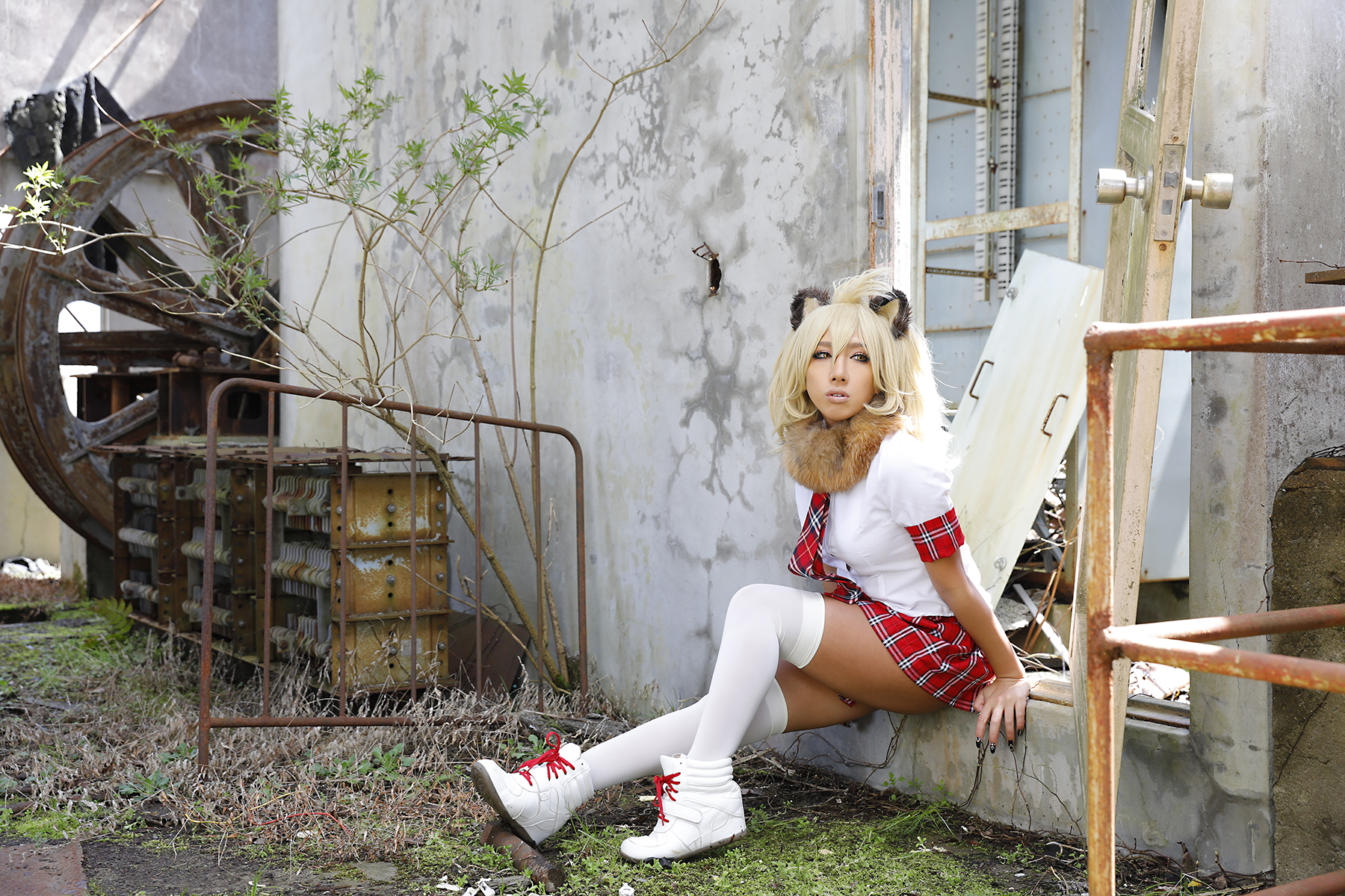 Kemono Friends – Non – Lion