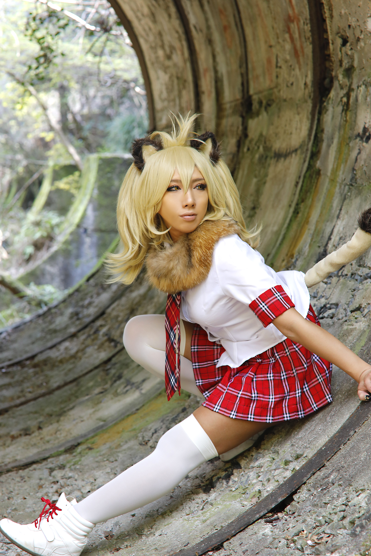 Kemono Friends – Non – Lion