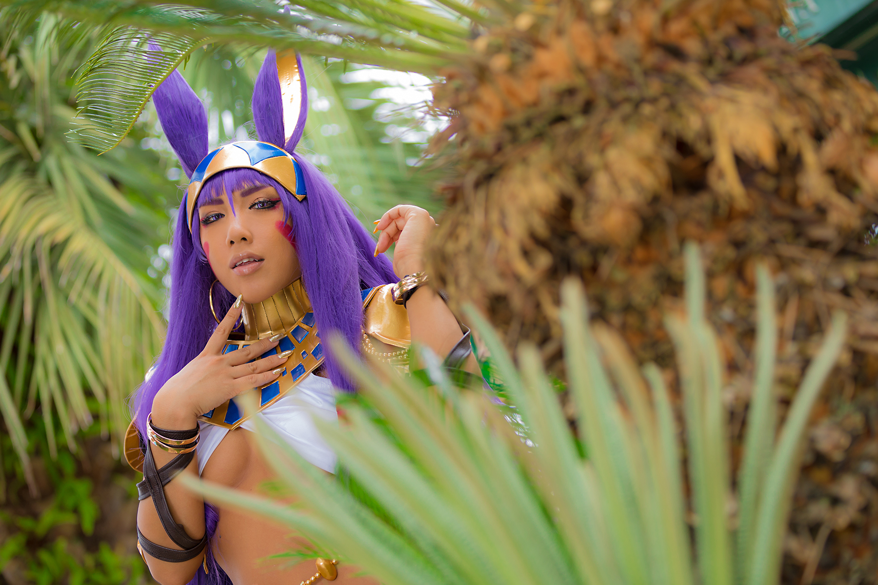 Fate – Non – Nitocris