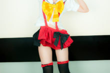 Love Live! – Glossy Rabbit – Kousaka Honoka (454)