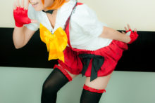 Love Live! – Glossy Rabbit – Kousaka Honoka (467)