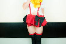 Love Live! – Glossy Rabbit – Kousaka Honoka (492)