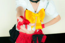Love Live! – Glossy Rabbit – Kousaka Honoka (515)