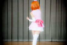 Love Live! – Glossy Rabbit – Kousaka Honoka (574)