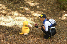 Pokemon – Non (25)
