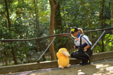 Pokemon – Non (37)