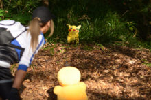 Pokemon – Non (52)