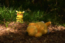 Pokemon – Non (57)