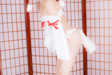 Touhou – Glossy Rabbit – Inubashiri Momiji (232)