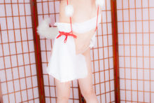 Touhou – Glossy Rabbit – Inubashiri Momiji (233)