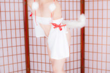 Touhou – Glossy Rabbit – Inubashiri Momiji (235)