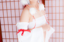Touhou – Glossy Rabbit – Inubashiri Momiji (260)