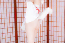 Touhou – Glossy Rabbit – Inubashiri Momiji (270)