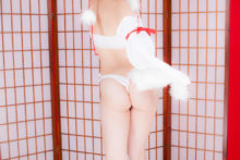 Touhou – Glossy Rabbit – Inubashiri Momiji (271)