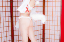 Touhou – Glossy Rabbit – Inubashiri Momiji (282)