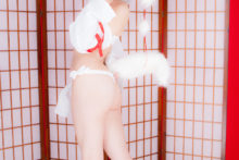 Touhou – Glossy Rabbit – Inubashiri Momiji (288)