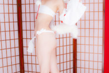 Touhou – Glossy Rabbit – Inubashiri Momiji (292)