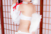 Touhou – Glossy Rabbit – Inubashiri Momiji (331)