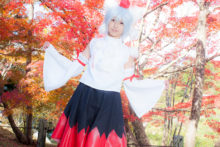 Touhou – Glossy Rabbit – Inubashiri Momiji (349)