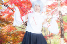 Touhou – Glossy Rabbit – Inubashiri Momiji (352)