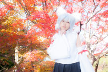 Touhou – Glossy Rabbit – Inubashiri Momiji (356)
