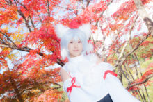 Touhou – Glossy Rabbit – Inubashiri Momiji (357)