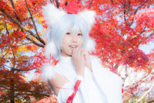 Touhou – Glossy Rabbit – Inubashiri Momiji (363)