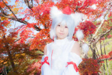 Touhou – Glossy Rabbit – Inubashiri Momiji (364)