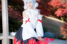 Touhou – Glossy Rabbit – Inubashiri Momiji (373)