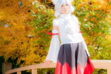Touhou – Glossy Rabbit – Inubashiri Momiji (395)