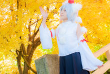 Touhou – Glossy Rabbit – Inubashiri Momiji (398)