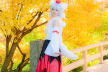 Touhou – Glossy Rabbit – Inubashiri Momiji (402)