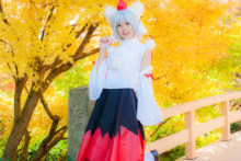 Touhou – Glossy Rabbit – Inubashiri Momiji (404)