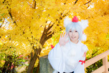 Touhou – Glossy Rabbit – Inubashiri Momiji (411)