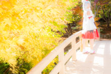 Touhou – Glossy Rabbit – Inubashiri Momiji (418)