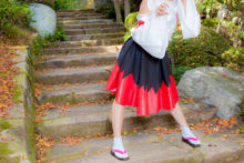 Touhou – Glossy Rabbit – Inubashiri Momiji (428)