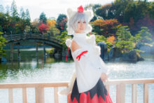 Touhou – Glossy Rabbit – Inubashiri Momiji (467)