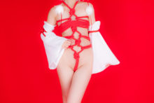 Touhou – Glossy Rabbit – Inubashiri Momiji (490)