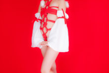 Touhou – Glossy Rabbit – Inubashiri Momiji (495)