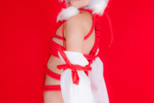 Touhou – Glossy Rabbit – Inubashiri Momiji (502)