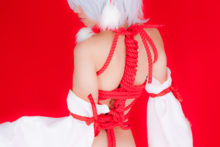 Touhou – Glossy Rabbit – Inubashiri Momiji (508)