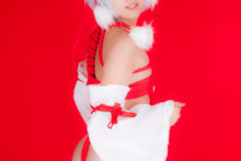 Touhou – Glossy Rabbit – Inubashiri Momiji (510)