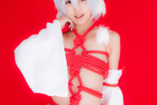 Touhou – Glossy Rabbit – Inubashiri Momiji (517)