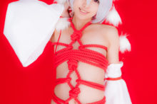 Touhou – Glossy Rabbit – Inubashiri Momiji (518)