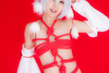 Touhou – Glossy Rabbit – Inubashiri Momiji (521)
